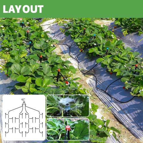 Maotong water-saving setup reduces runoff and evaporation in gardens