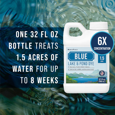 Maplefield blue dye edge dispersion demonstrates natural color spread across water
