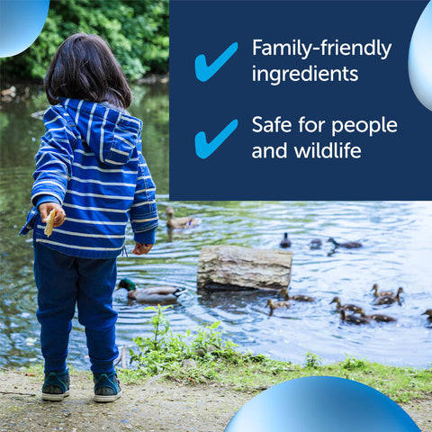 Maplefield long-lasting pond color provides extended vibrancy through weeks