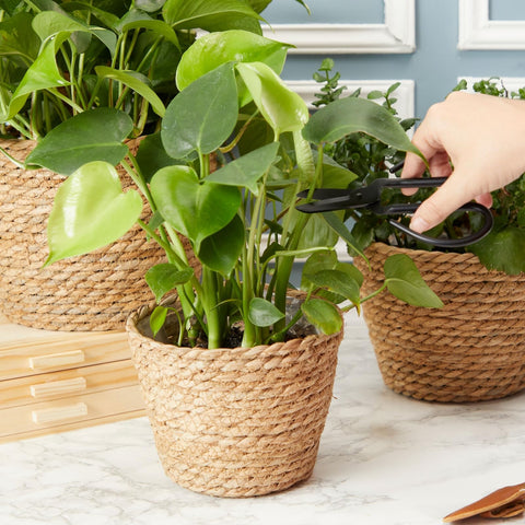 Small seagrass planter with lining ideal for compact plant displays.