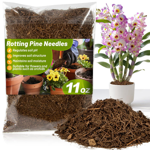 MAQIHAN 11oz pine needle mulch used around orchids to improve moisture retention.