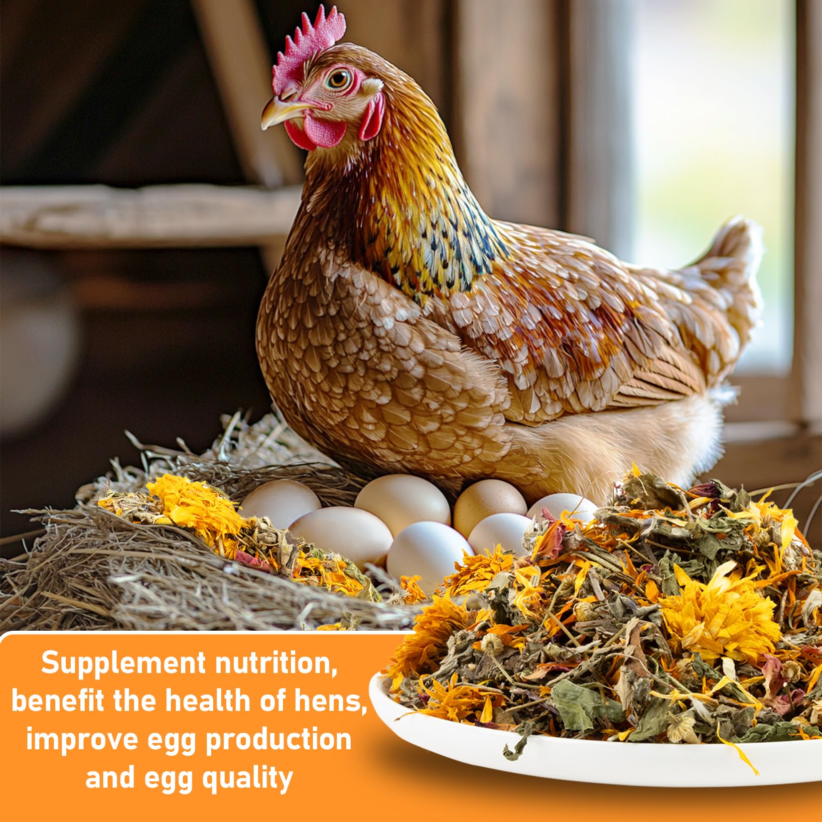 MAQIHAN chicken coop herbs in dry form enrich feed areas and support egg quality