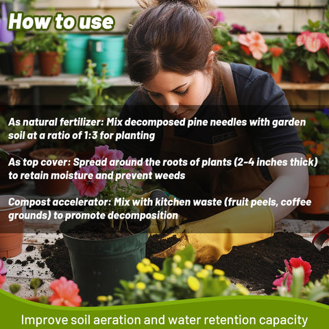 MAQIHAN compost-ready pine needles enrich soil once decomposed.