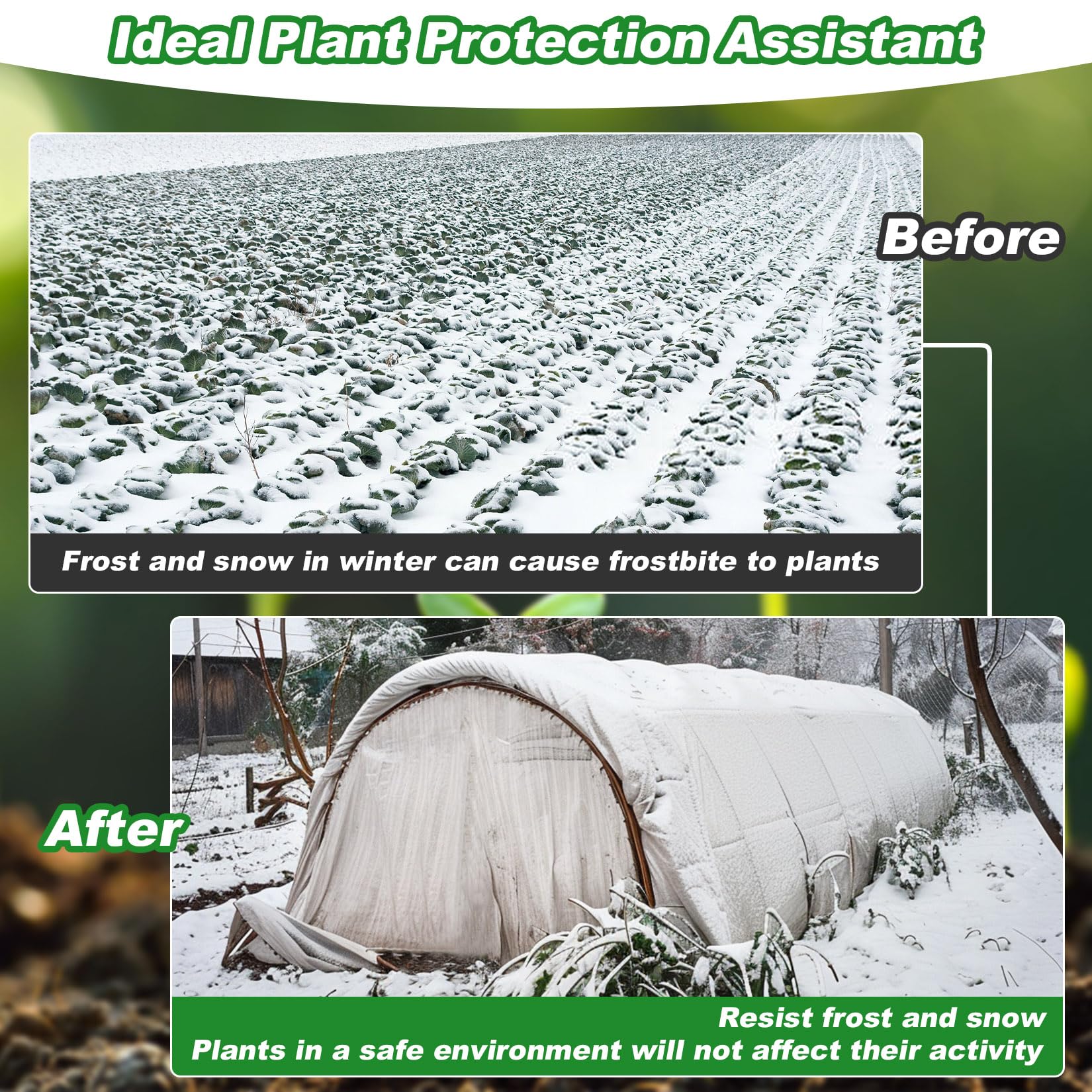 MAQIHAN floating row cover protecting fruit bushes from cold winds.