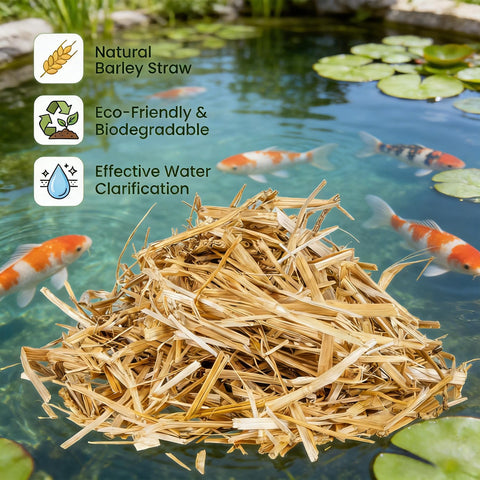 MAQIHAN koi-pond-safe filtration supports a balanced ecosystem.