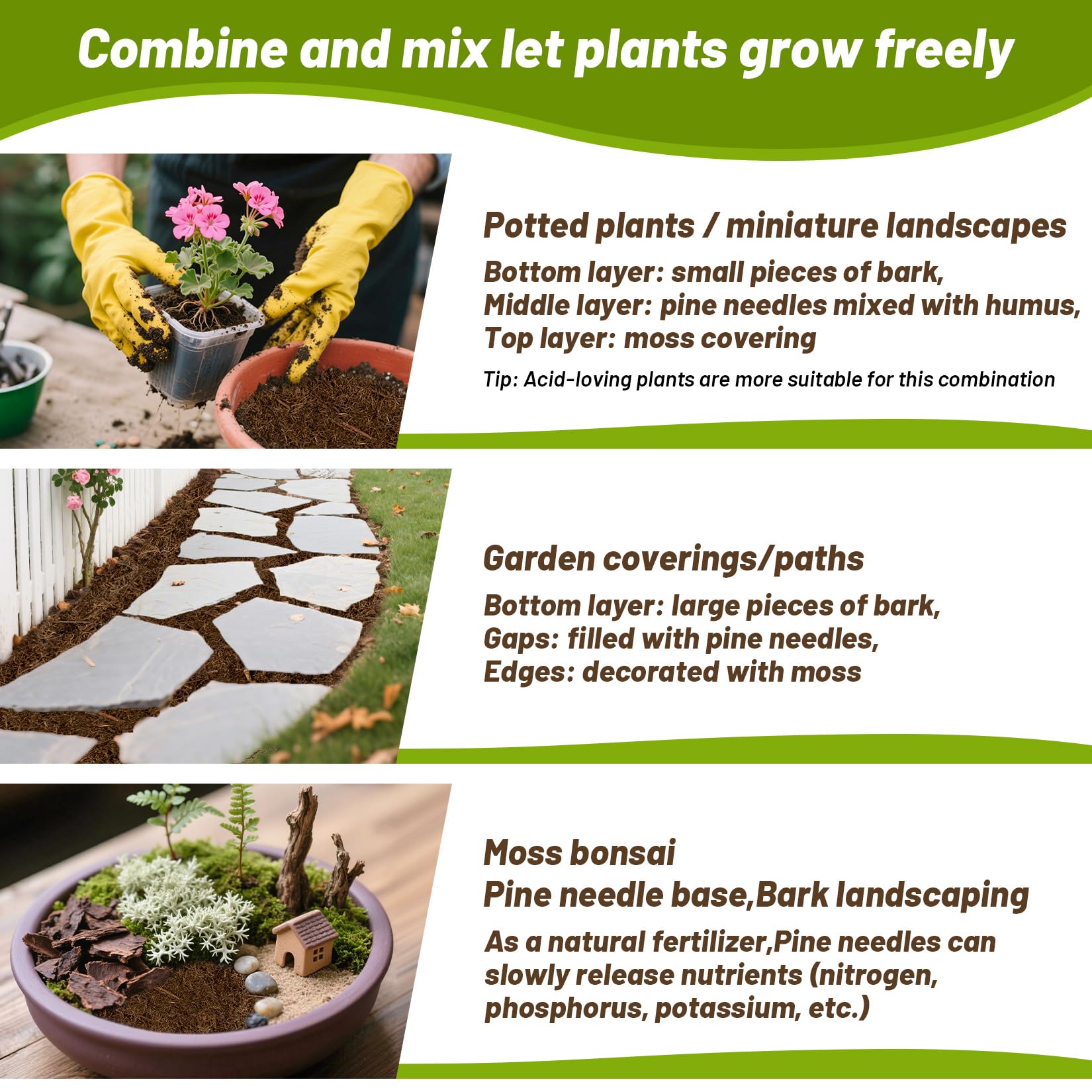 MAQIHAN moisture-retention pine needles around roots promote healthy orchid roots.