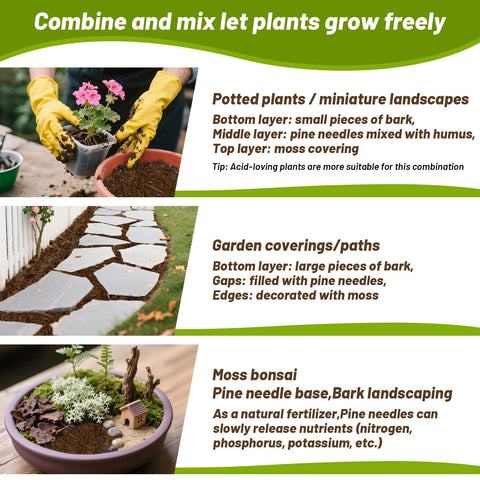 MAQIHAN moisture-retention pine needles around roots promote healthy orchid roots.