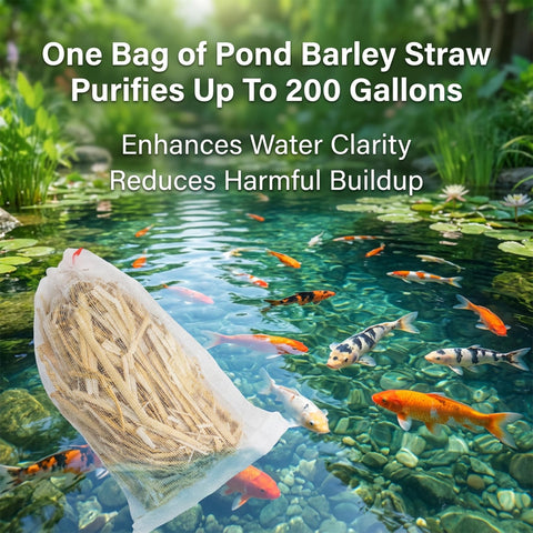 MAQIHAN natural balance for ponds shows gradual clarity over weeks.