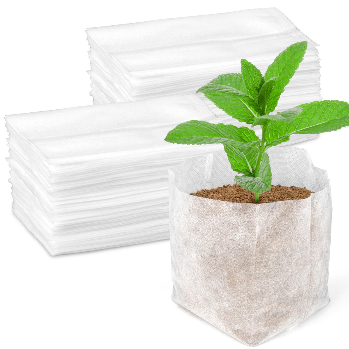MAQIHAN nursery grow bags in 4.7-inch square form support seed starting and tidy transplant readiness.