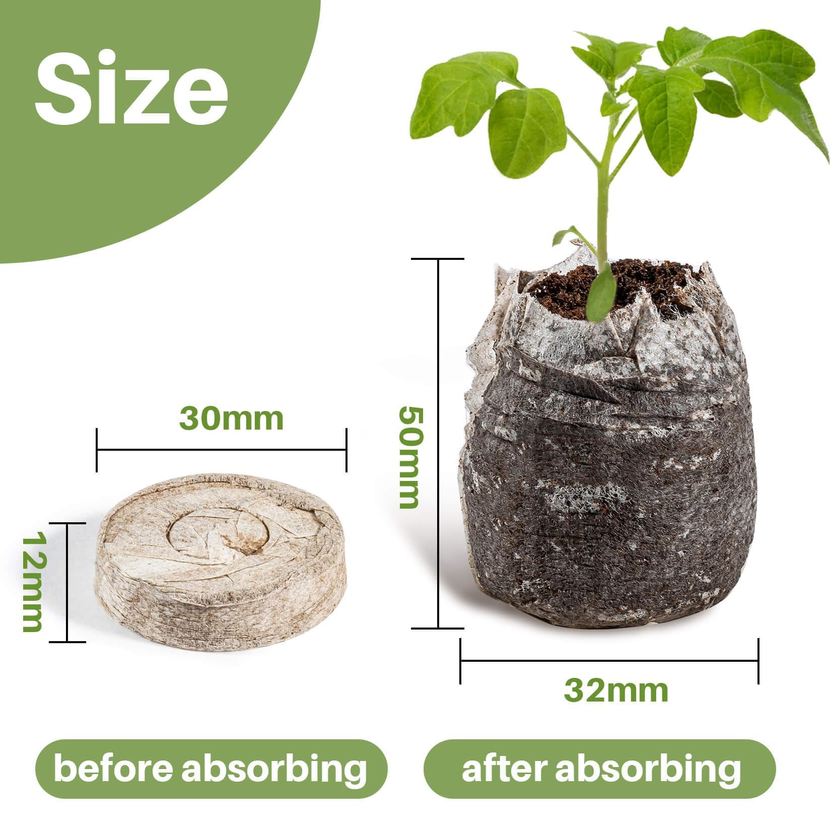 Maqihan peat pellets absorb water to expand for growing media