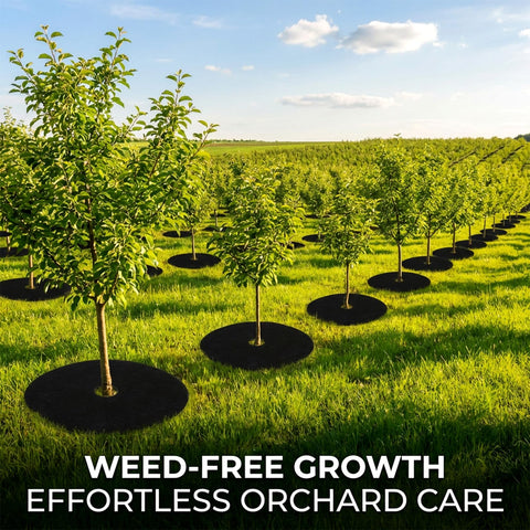 MAQIHAN root and trunk protection shields against lawn equipment impact.