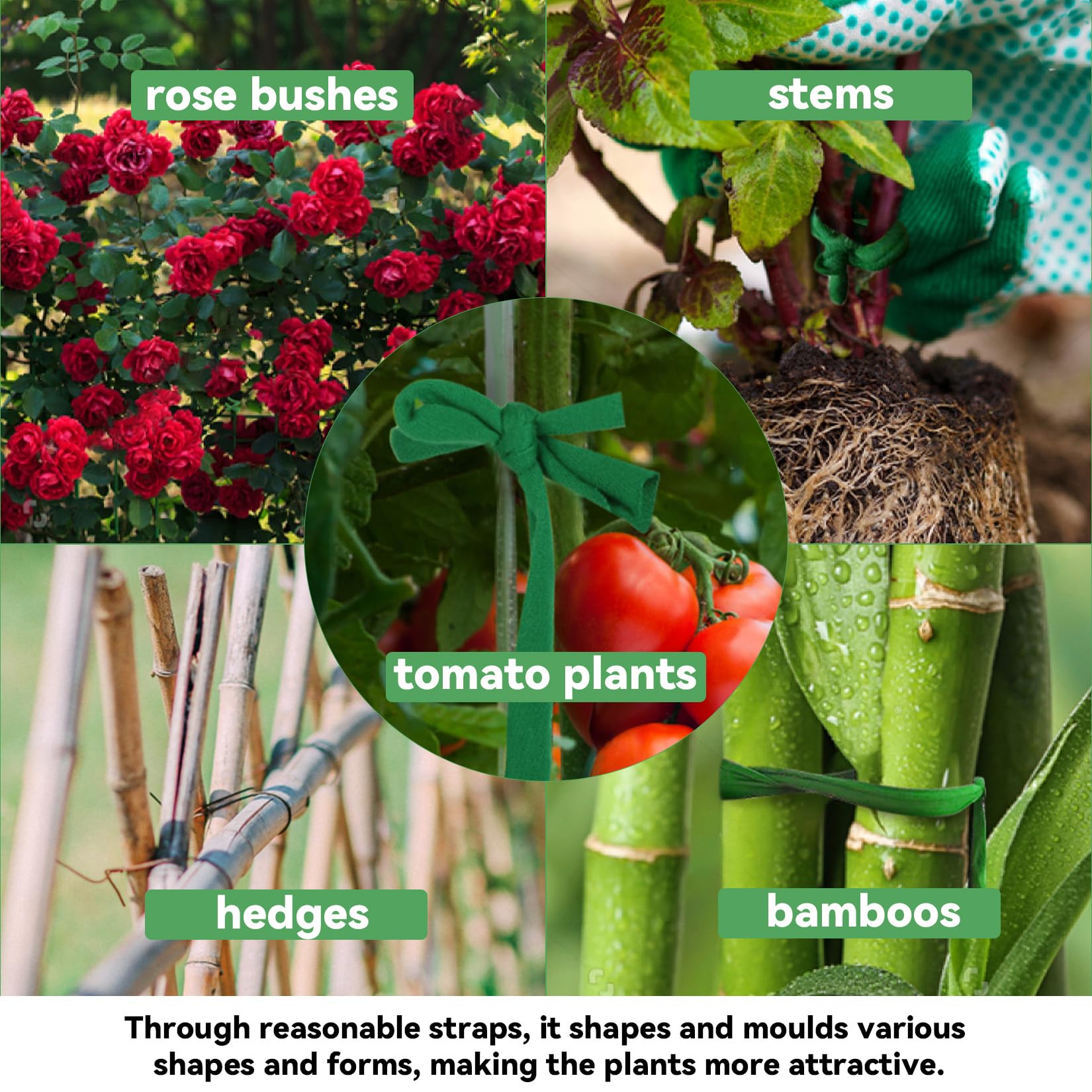 MAQIHAN stretchy tree-support ties offer flexible support for climbing plants.