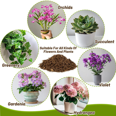 MAQIHAN top mulch around orchids helps conserve moisture and suppress weeds.