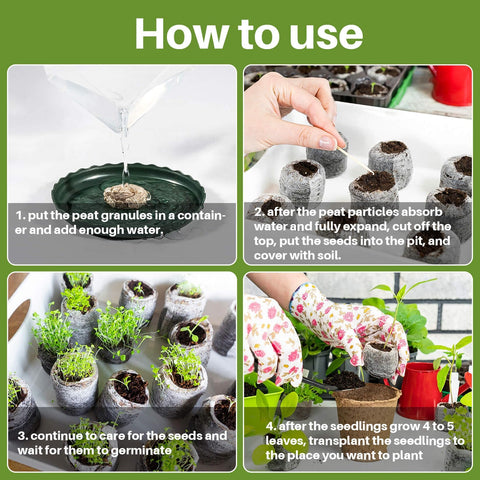 Maqihan transplant-ready pellets simplify moving seedlings to soil