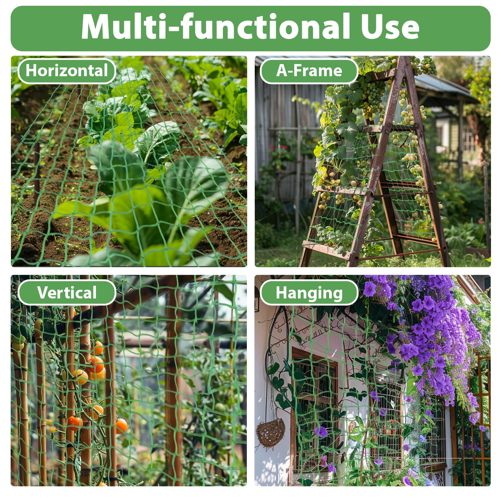 MAQIHAN trellis netting secures grape vines for neat, upright growth and better sun exposure.