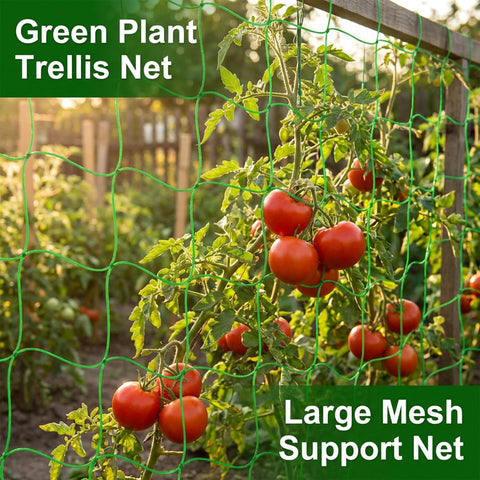 MAQIHAN trellis netting installation is simple and adaptable to horizontal or vertical layouts.
