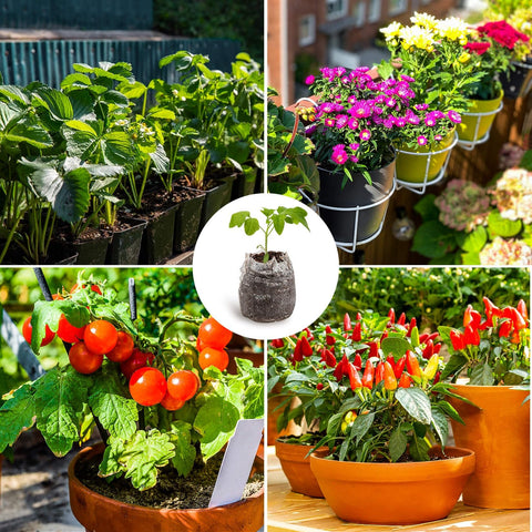 Maqihan peat pellets suit vegetables, flowers, and herbs