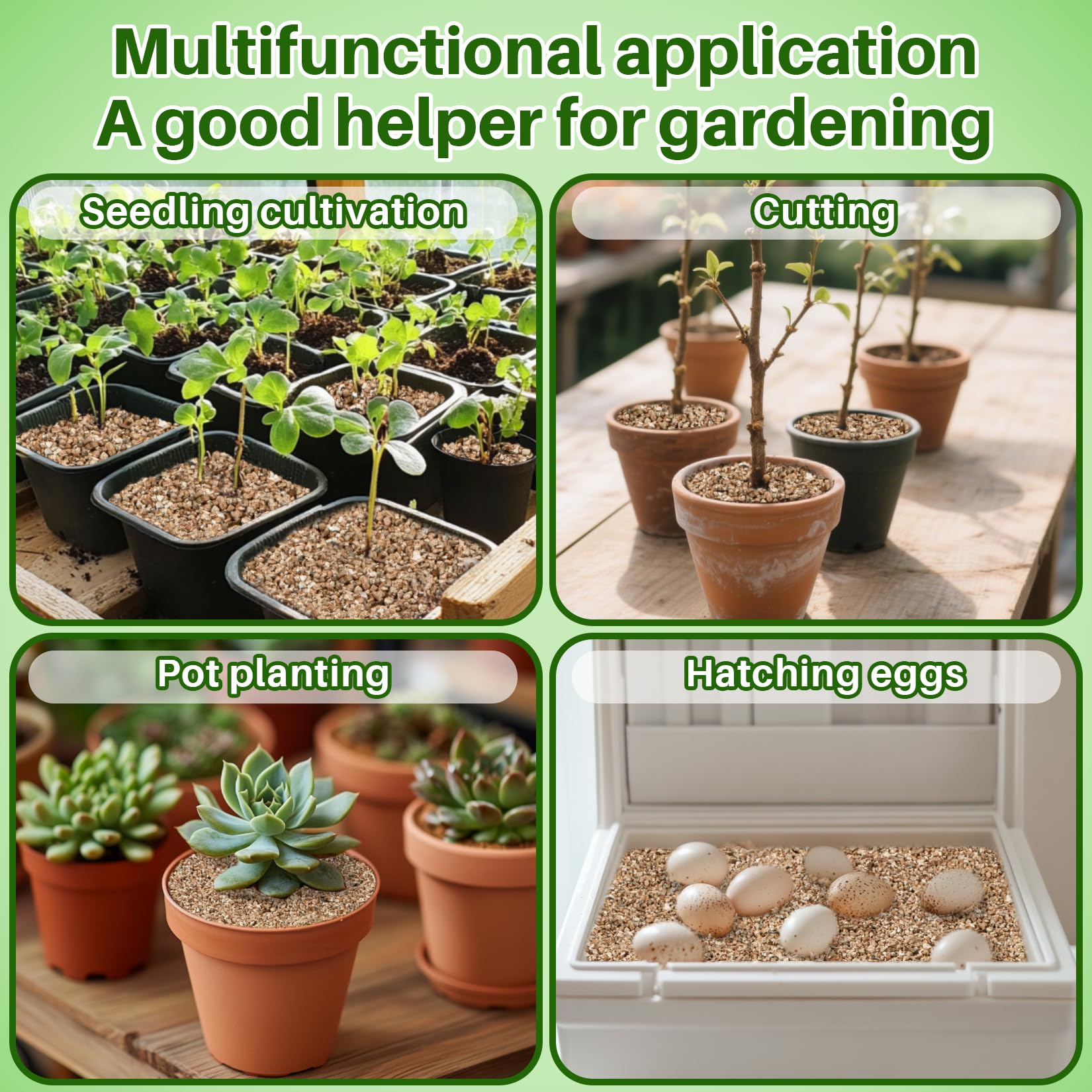 MAQIHAN Vermiculite supports seed sowing and propagation projects