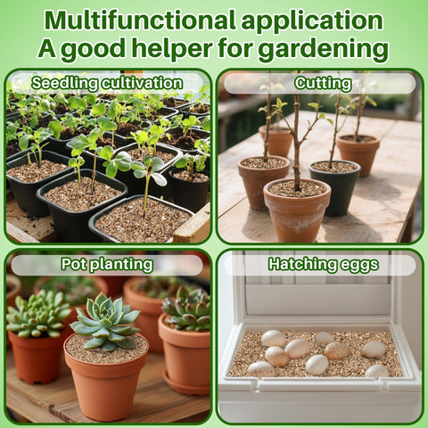 MAQIHAN Vermiculite supports seed sowing and propagation projects