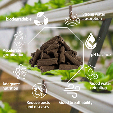 MAQIHAN dense sponge absorbs water efficiently for plant needs