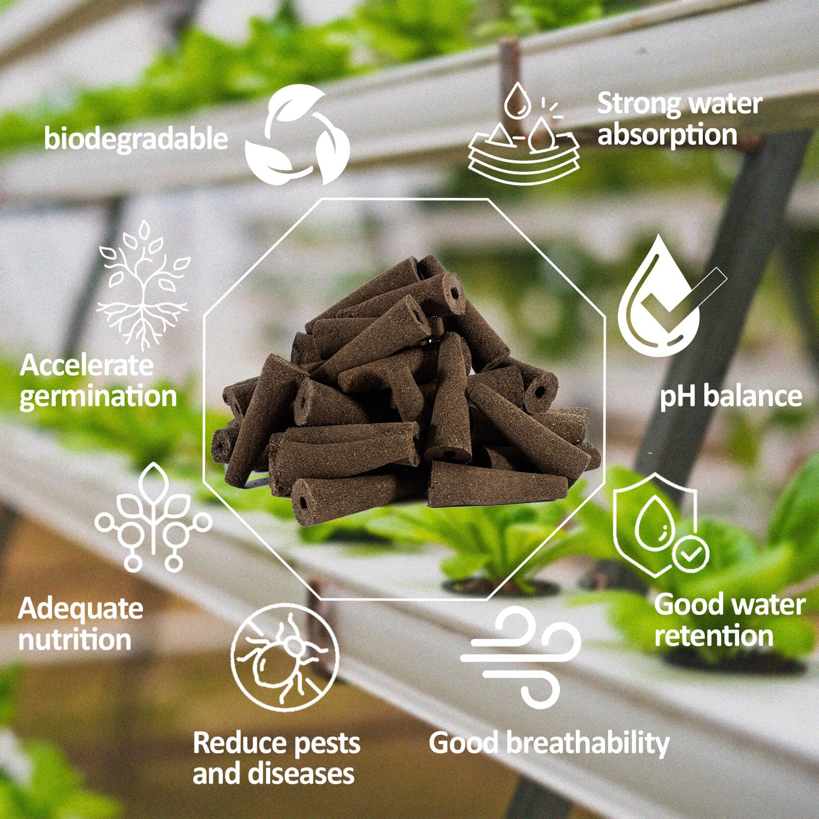 MAQIHAN water-absorption sponges with strong moisture retention