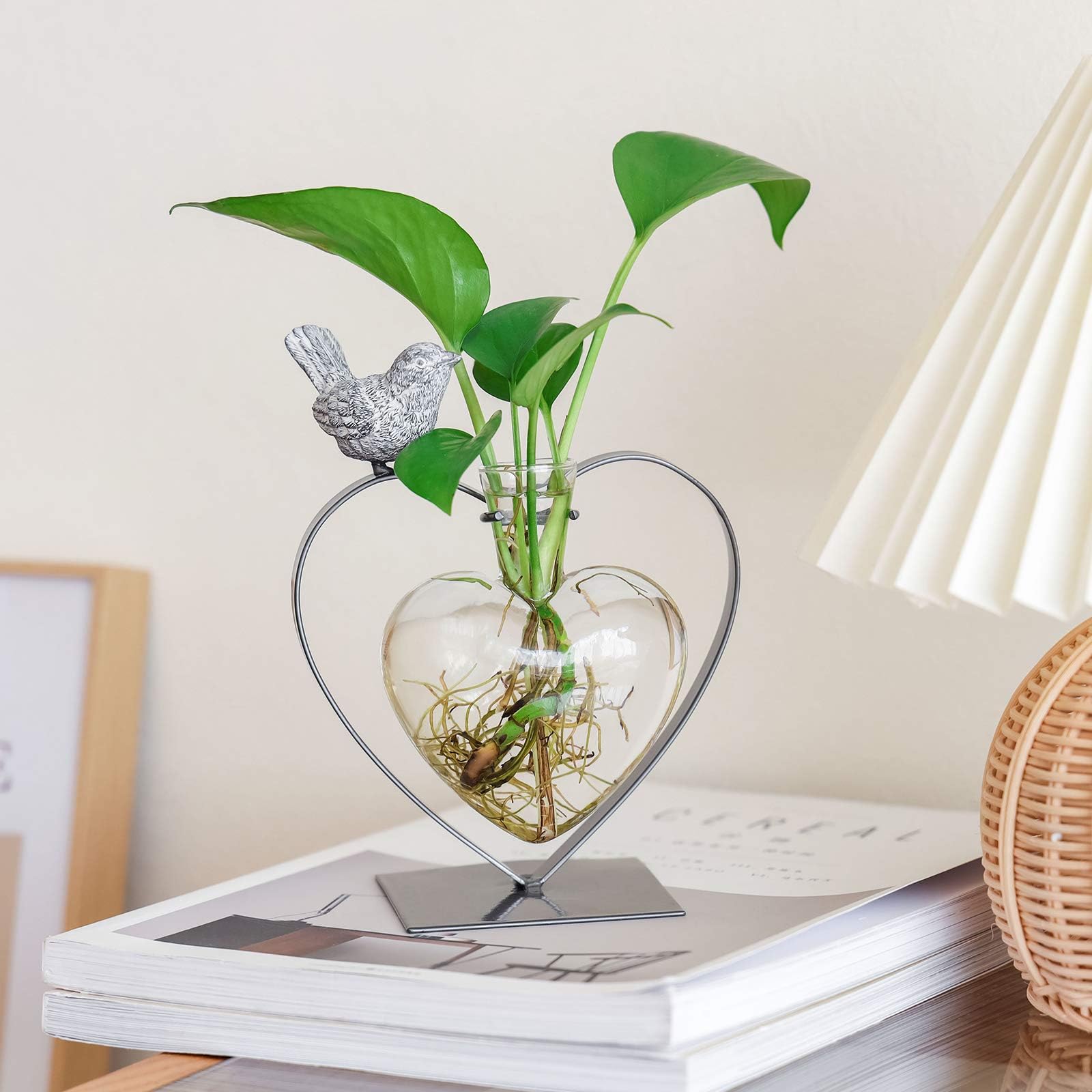 Marbrasse bulb glass vase holder highlighting lightweight greens on a shelf.