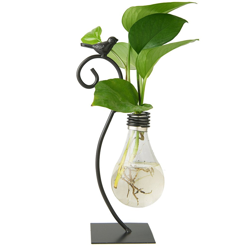 Marbrasse desktop glass planter with bird stand enhances modern home decor