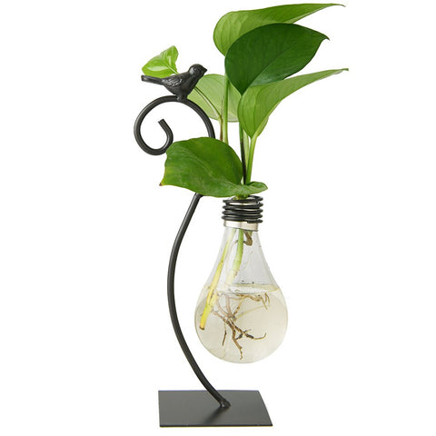 Marbrasse desktop glass planter with bird stand enhances modern home decor
