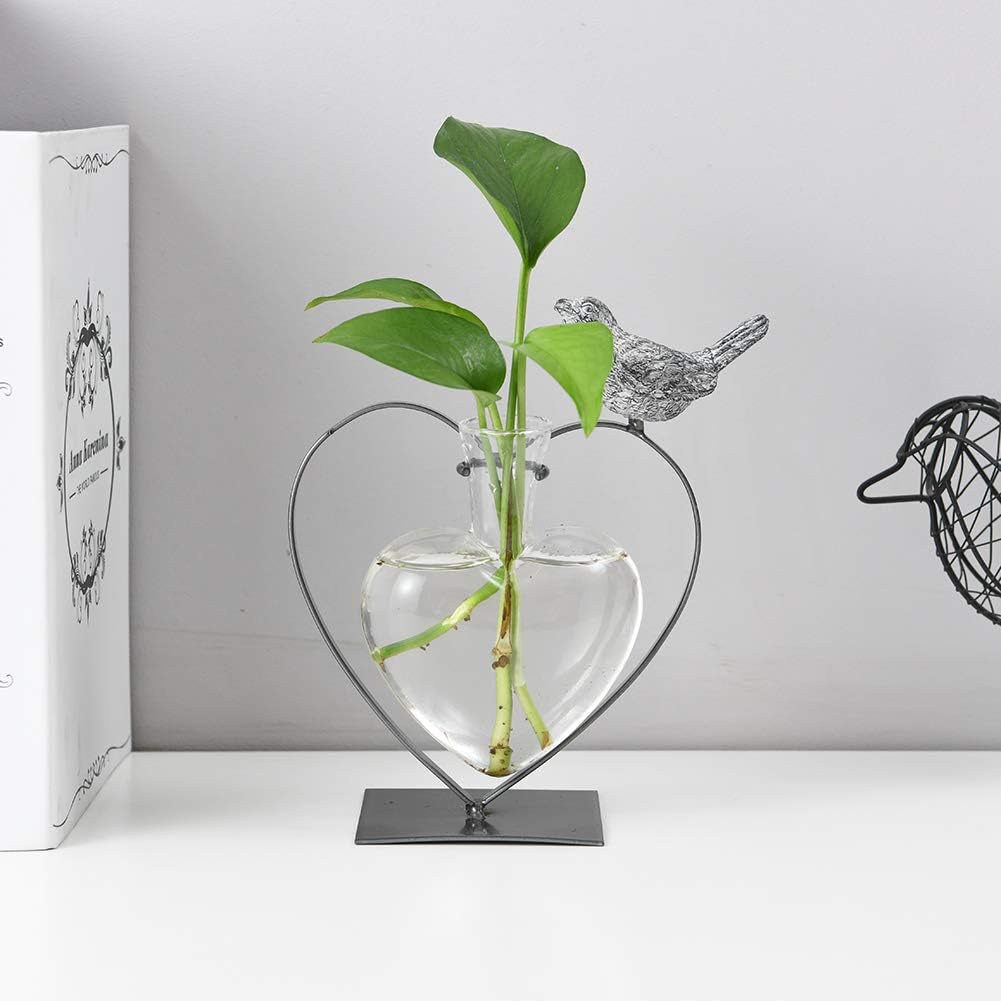 Marbrasse glass vase with easy water pour for plants.