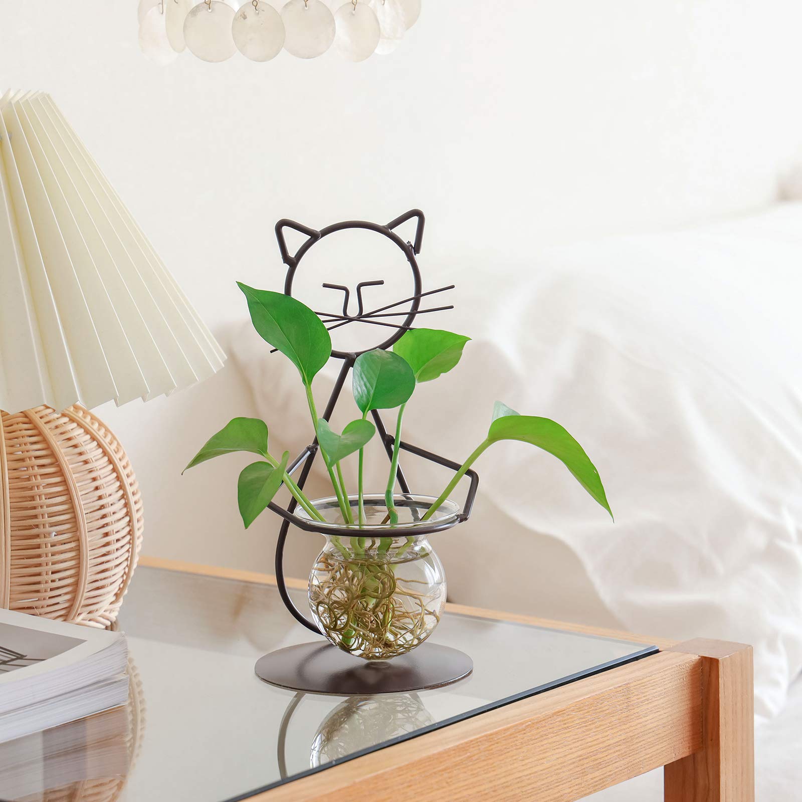 Marbrasse heat-resistant glass vase close-up shows clear, durable design