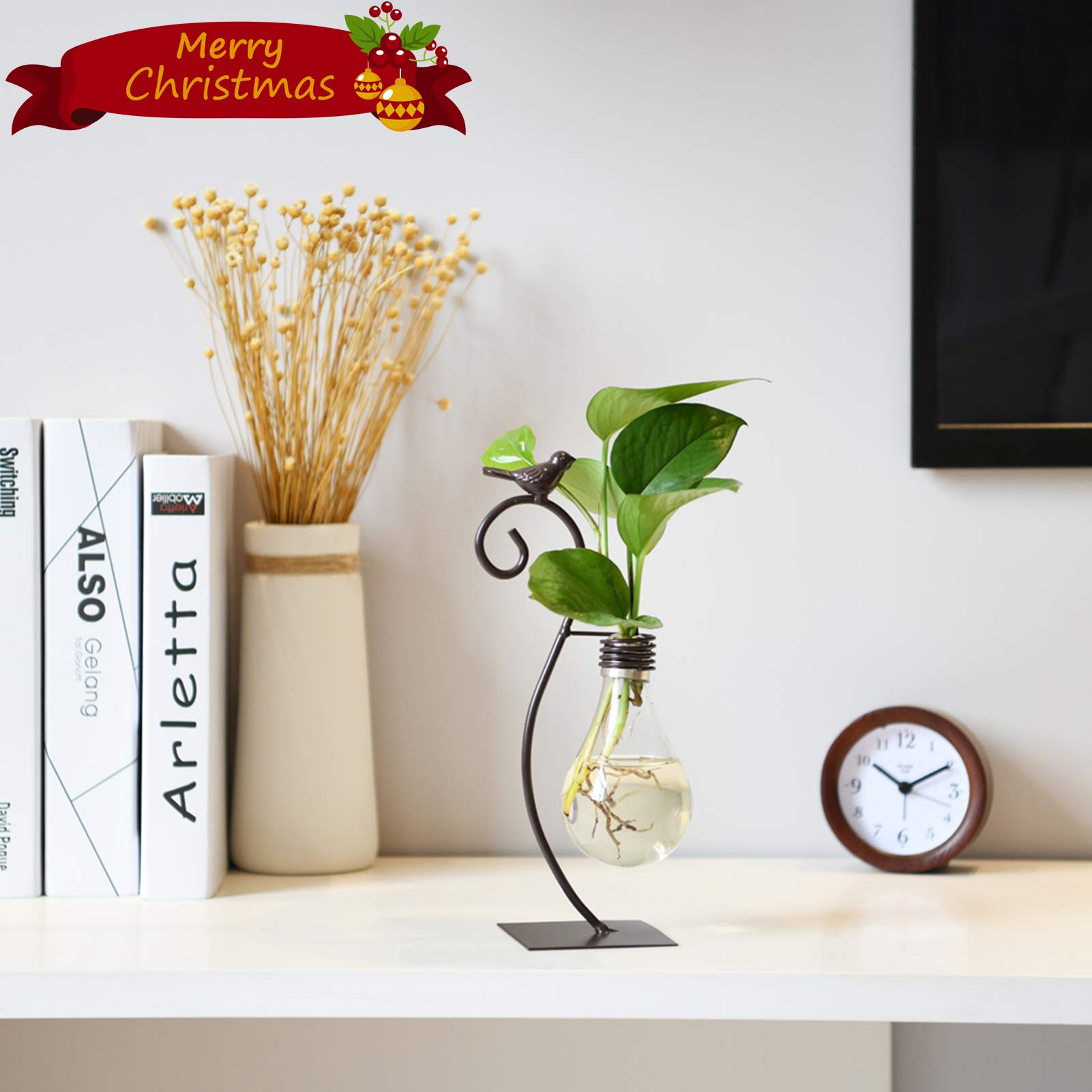 Marbrasse hydroponics vase in clear glass for water-based displays