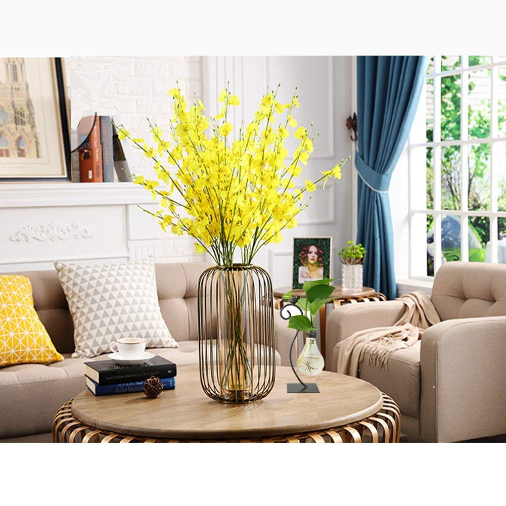 Marbrasse scindapsus container bulb vase supports trailing greens