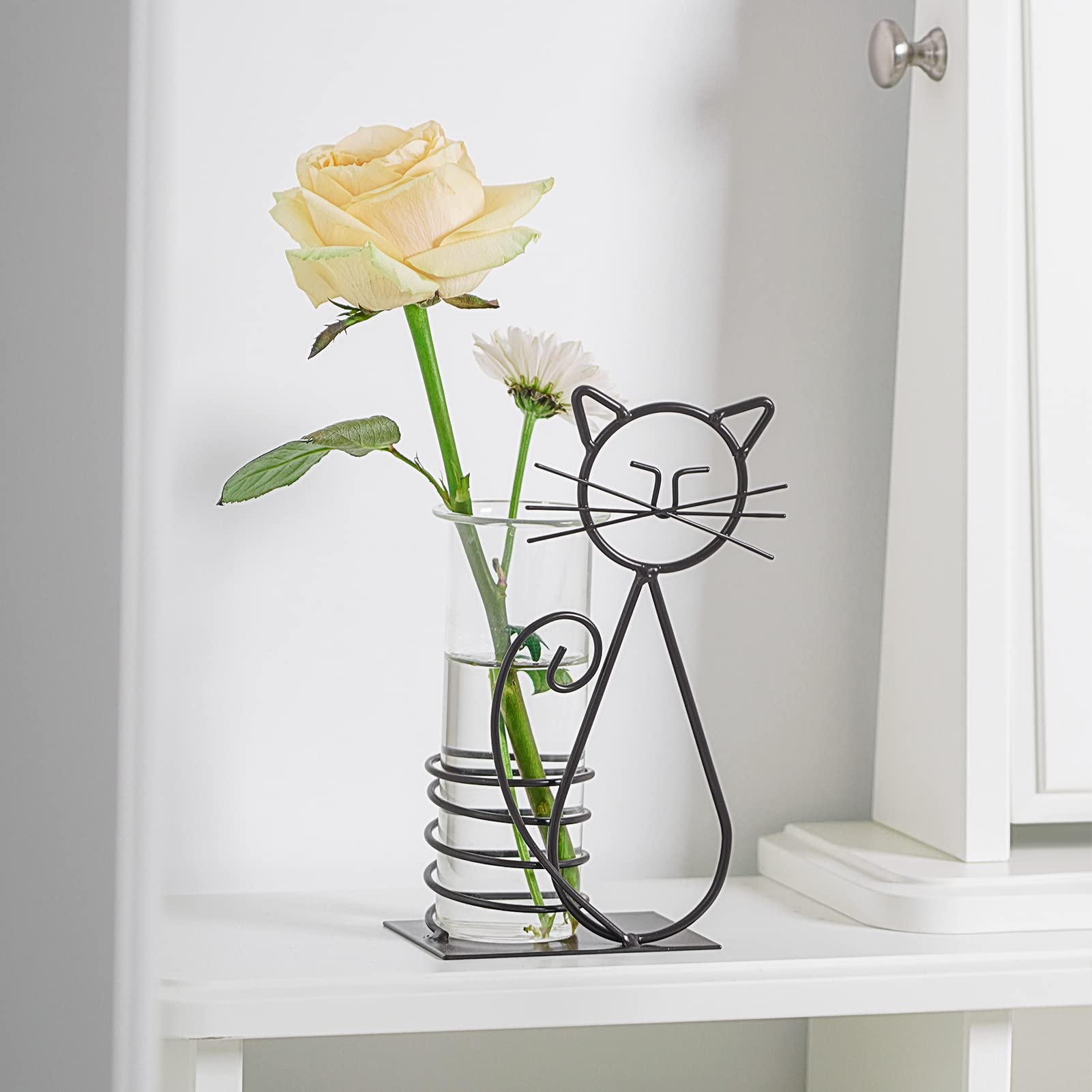 Scindapsus container design suits contemporary living spaces.
