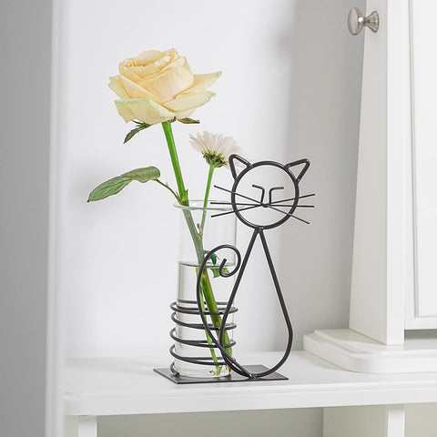 Scindapsus container design suits contemporary living spaces.