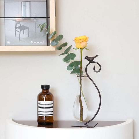 Marbrasse Scindapsus container adds greenery to any shelf or desk.