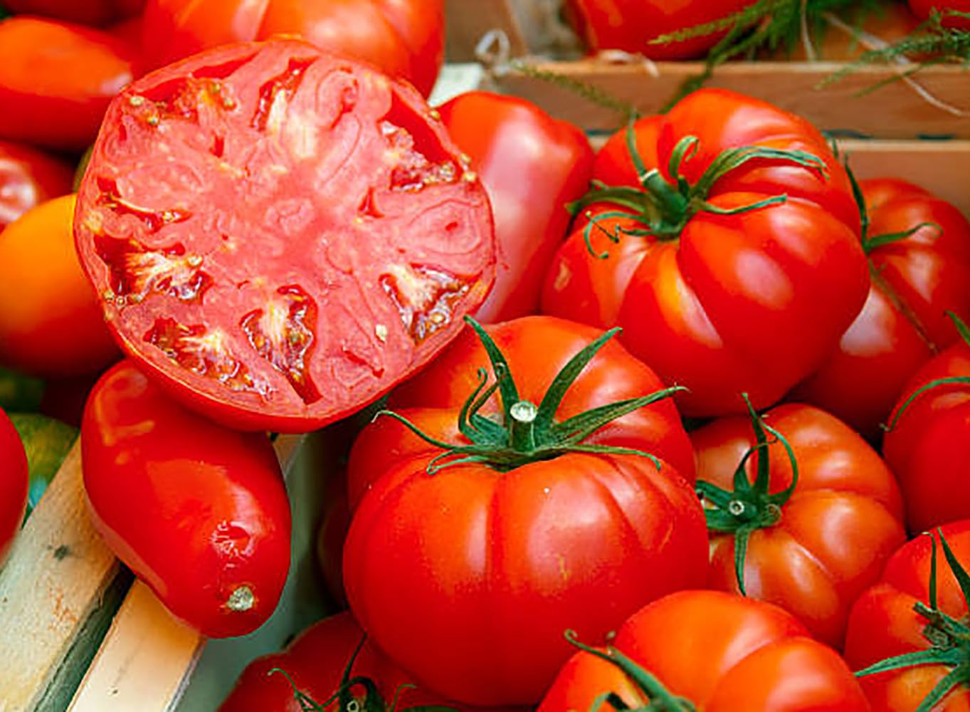 Marde Ross & Company beefsteak tomato seeds pack for home gardening and planting