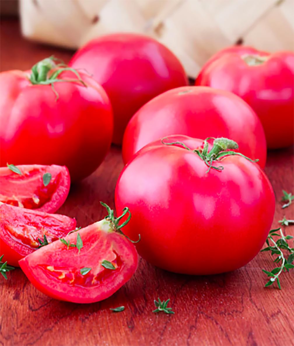 Bradley Tomato Seeds compact plant ideal for small gardens and easy care