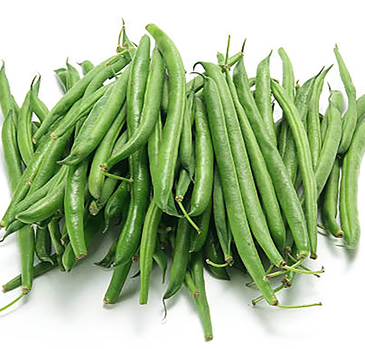 Burpee Stringless green bean pods closeup highlighting 5-inch pods.