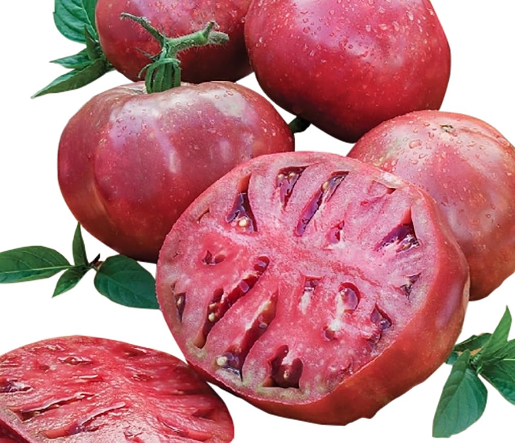 Marde Ross Cherokee Purple ripe tomatoes showing deep color and flavor