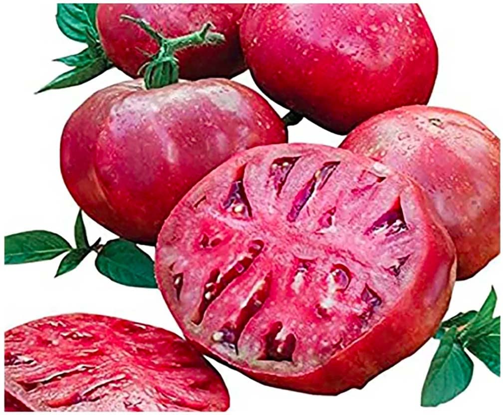 Marde Ross Cherokee Purple seed pack ready for home gardening