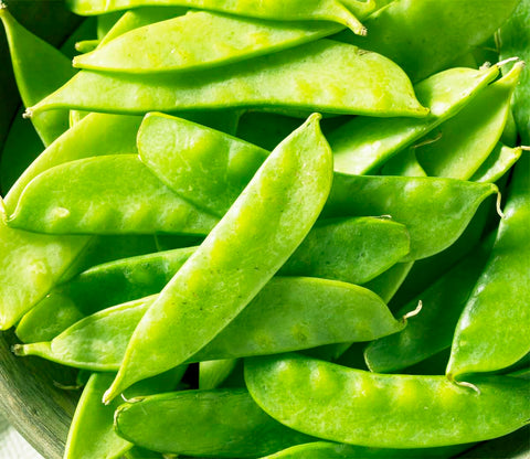 Marde Ross Chinese Snow Pea seeds in packaging for home gardening