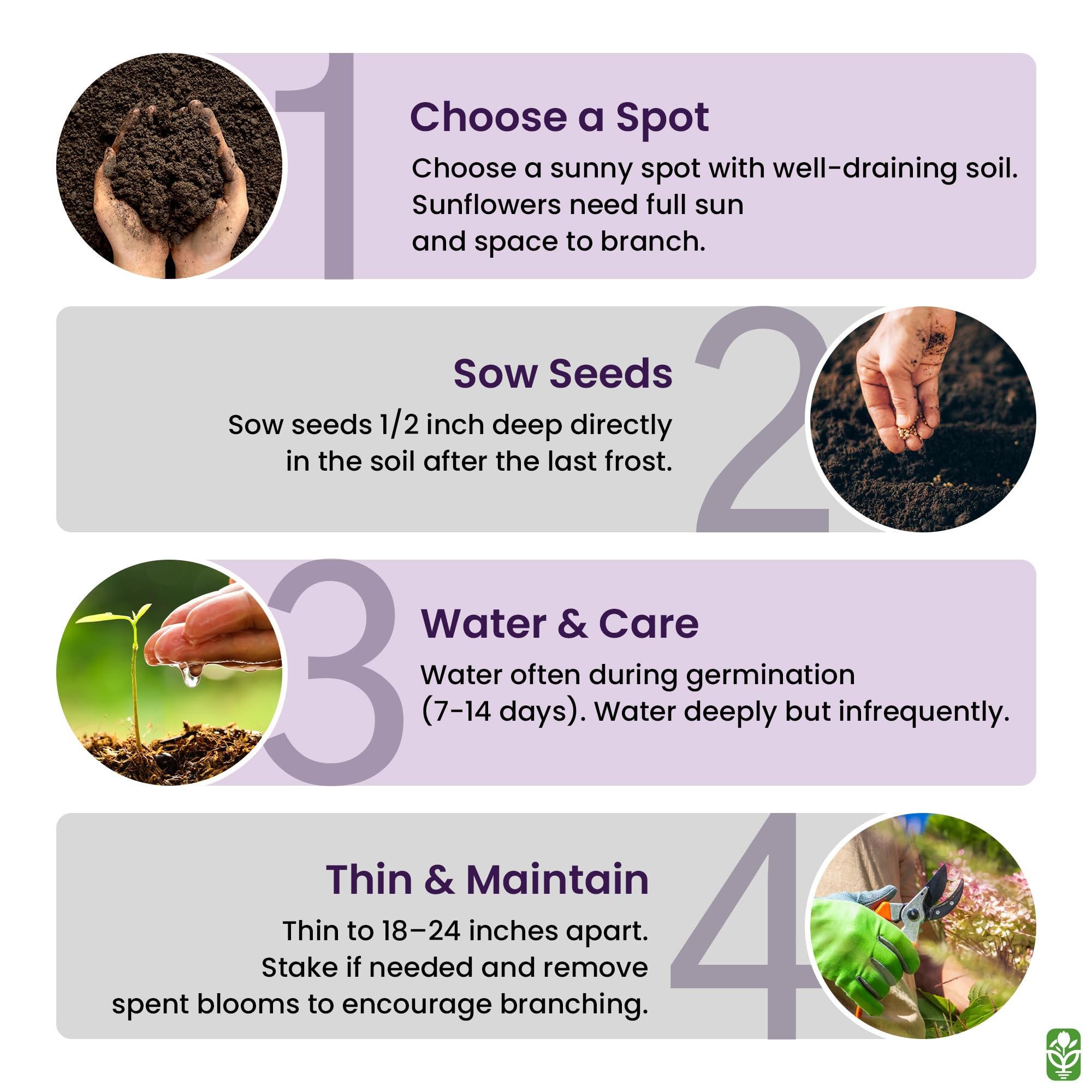 California heritage seed source since 1985 by Marde Ross & Company
