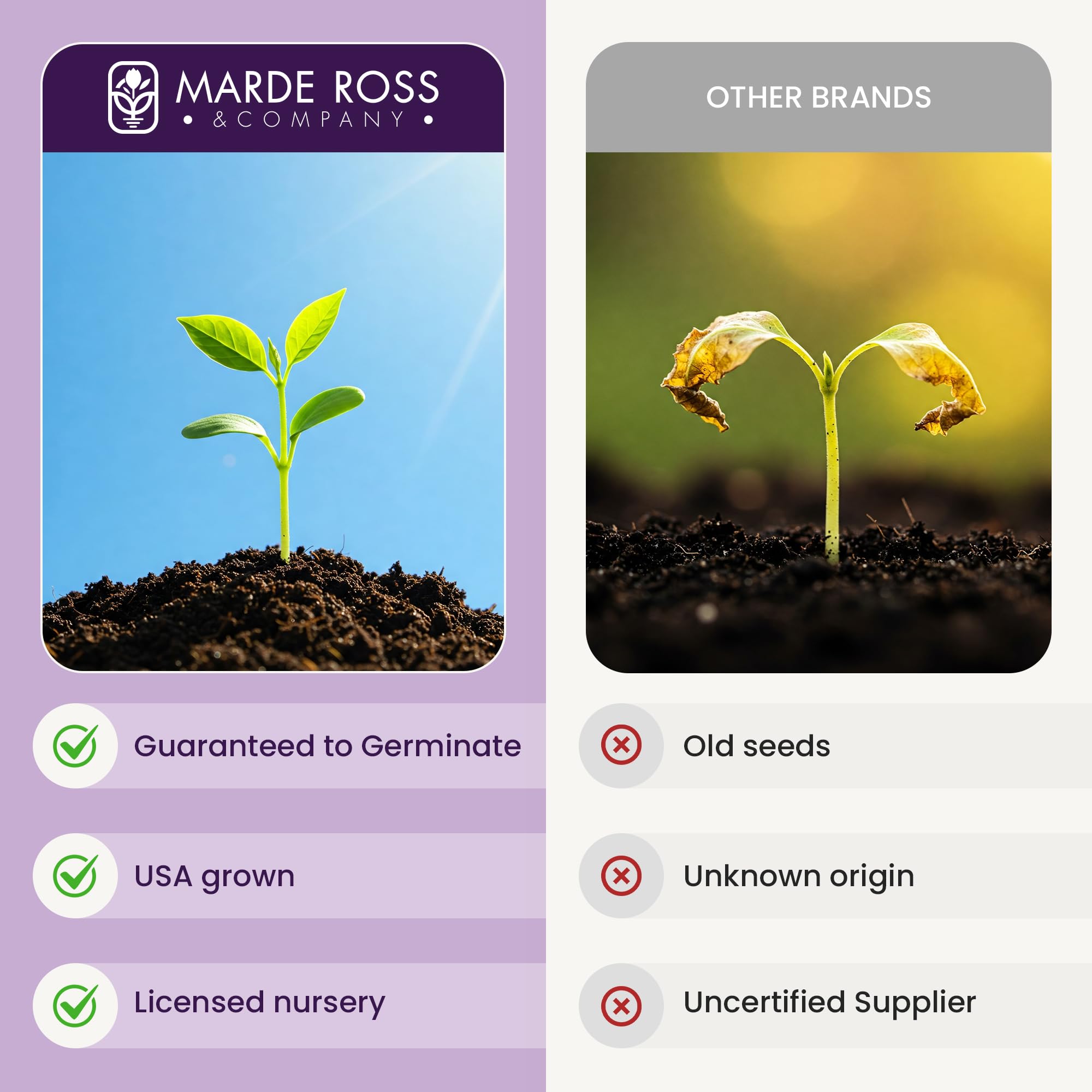 Marde Ross & Co warm-soil germination tips support steady growth and early sprouts.