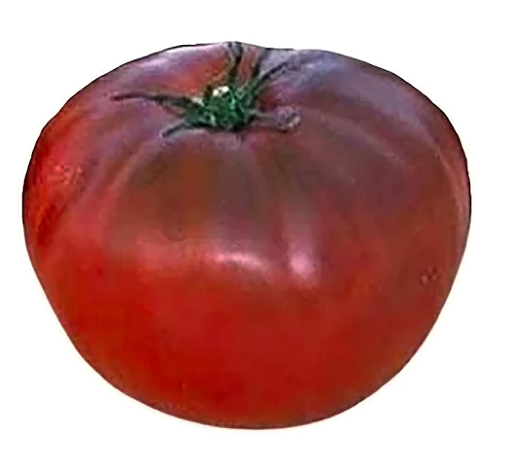 Marde Ross & Company harvest-ready Black Brandywine tomatoes on vines.