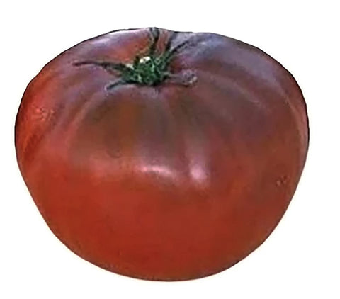 Marde Ross & Company harvest-ready Black Brandywine tomatoes on vines.