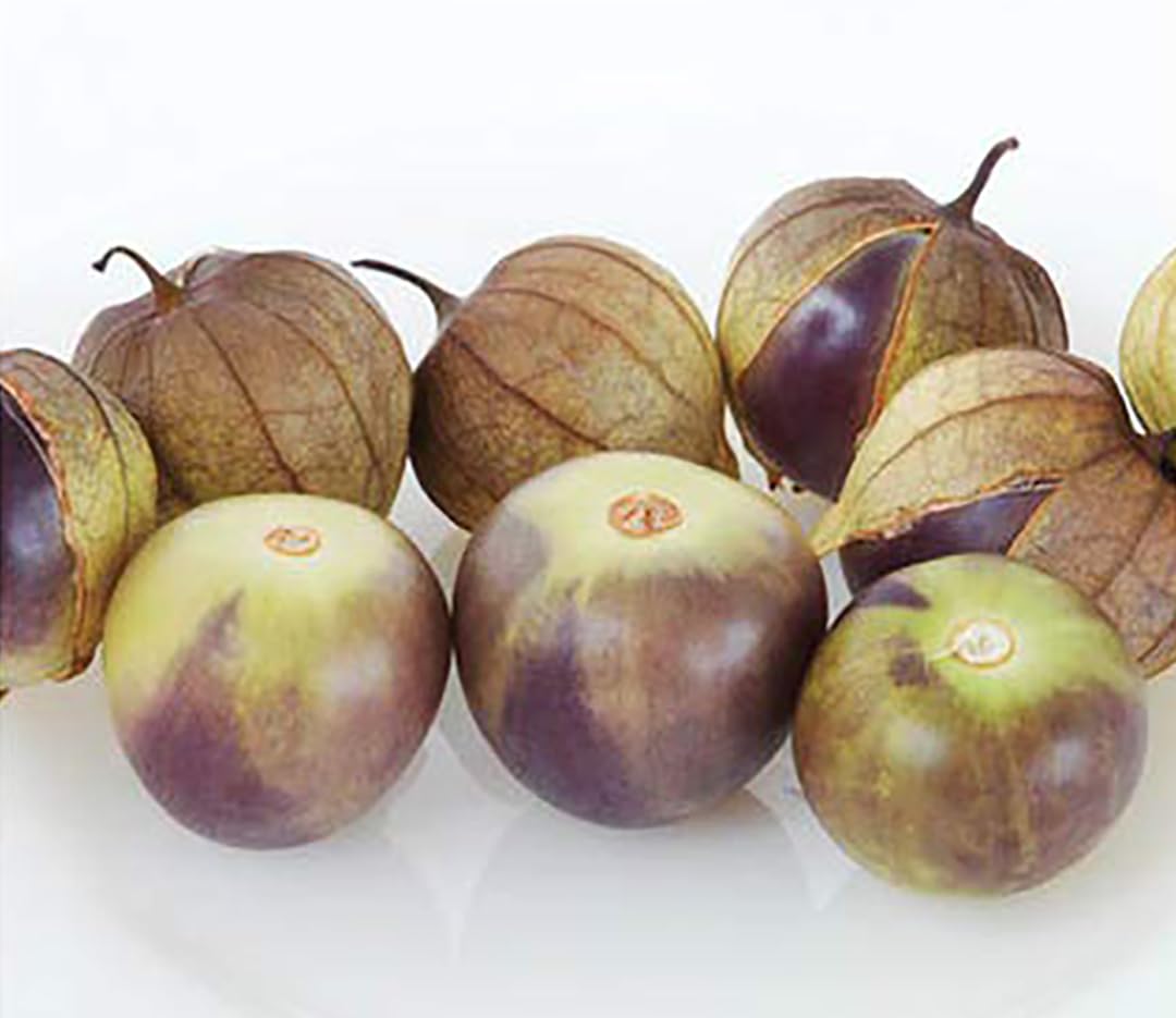 De Milpa Tomatillo Seeds pack by Marde Ross & Company, 50+ seeds for home gardens.