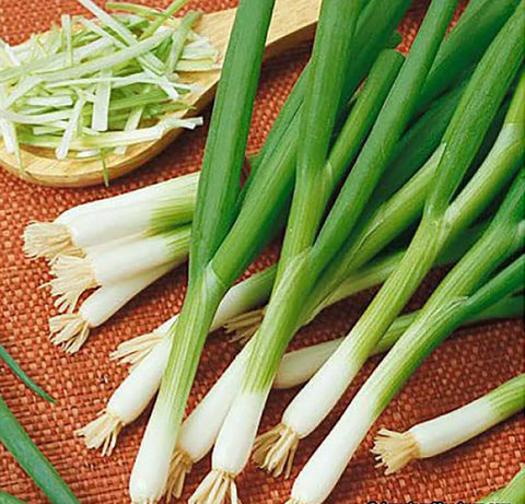 Marde Ross & Company seed packet for delicious salad green onions, easy to grow.