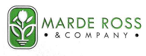 Bright delphinium spikes attract pollinators in sunlit borders