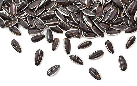 Marde Ross Direct sow on soil seeds for simple planting