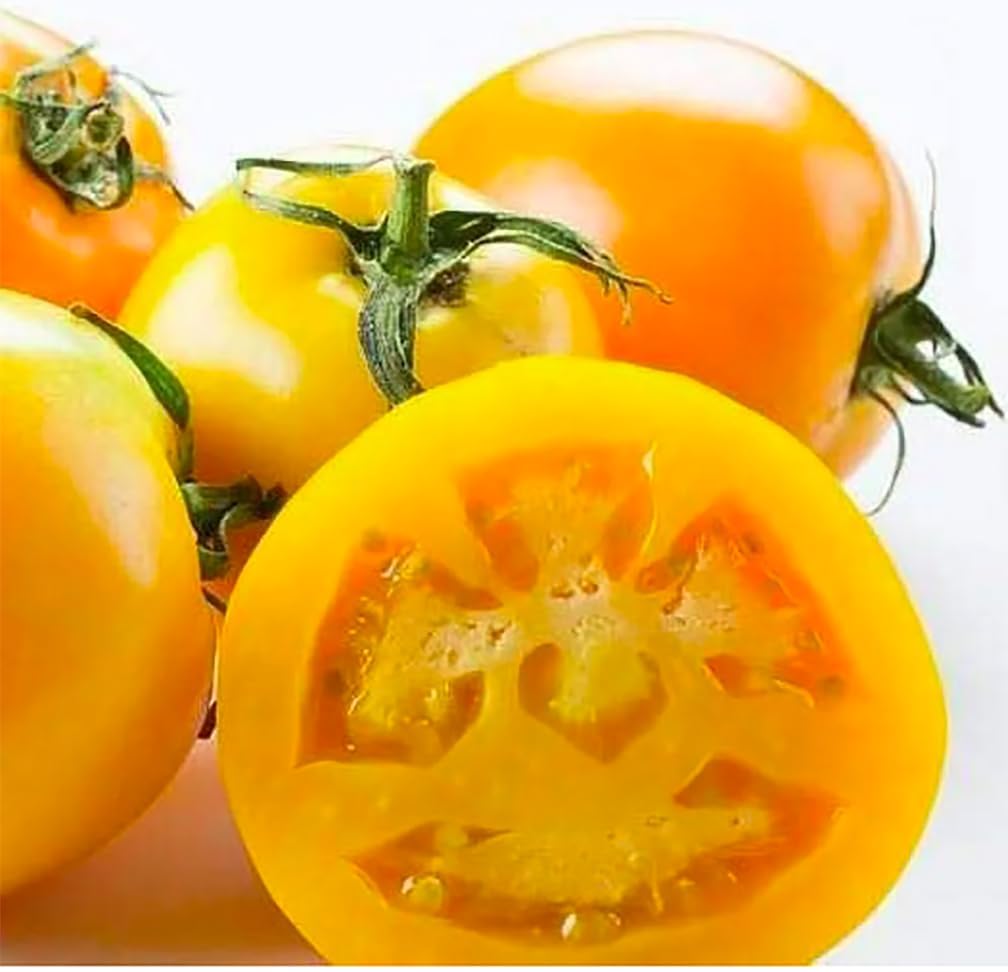 Marde Ross Golden Jubilee seeds pack for home planting, flavorful yield.